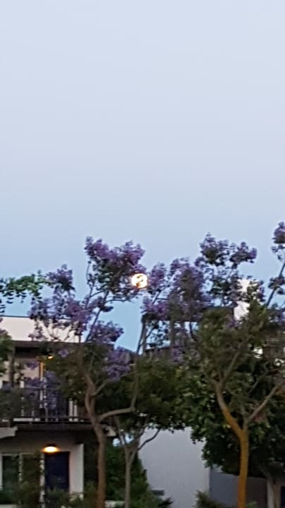 Außenansicht ROBINSON QUINTA DA RIA