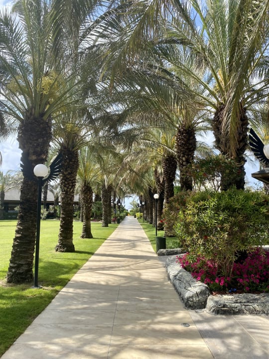 Gartenanlage Royal Wings Hotel