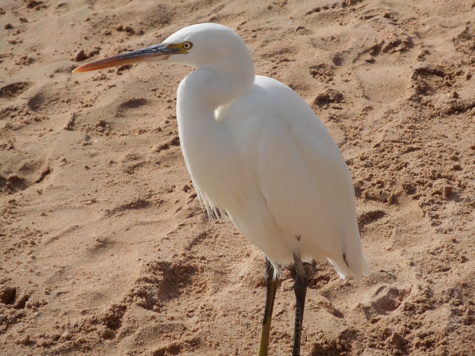 Strand Three Corners Sea Beach Resort