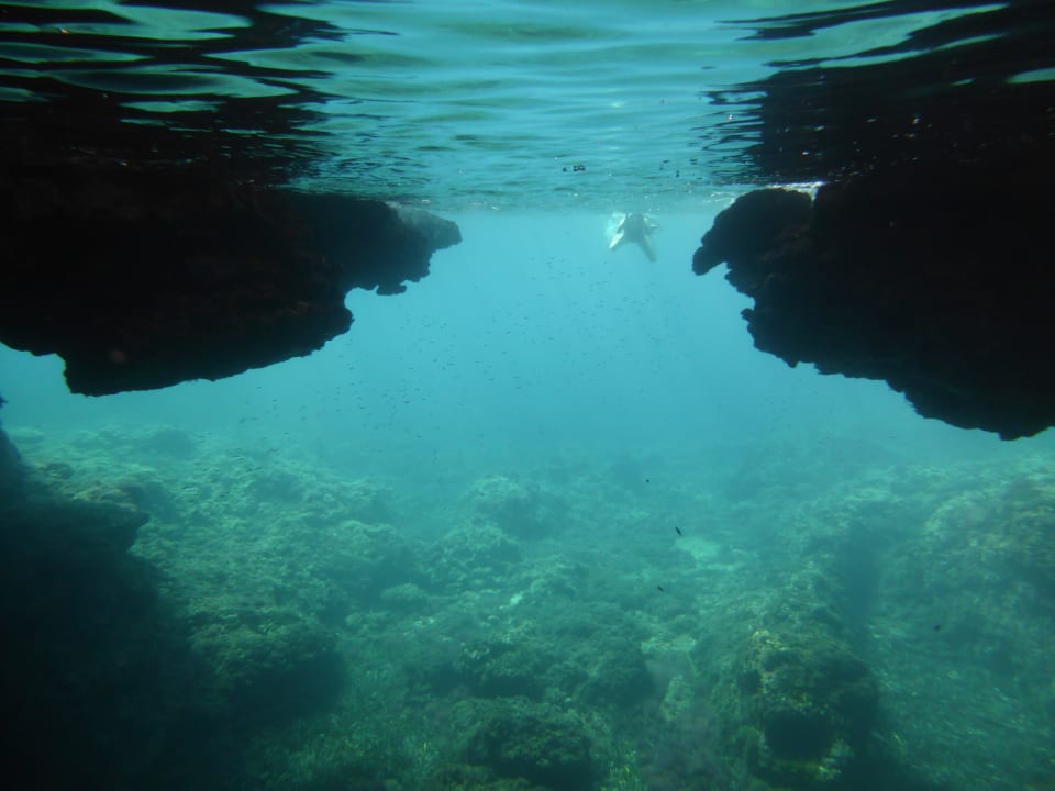 Eingang Höhle mit "Oberlicht" links um die Bucht Iberostar Waves Club Cala Barca