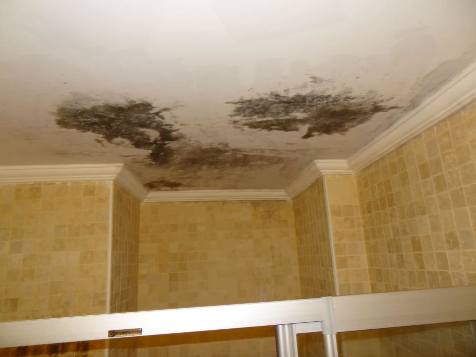 Bad Hotel Mersoy Exclusive