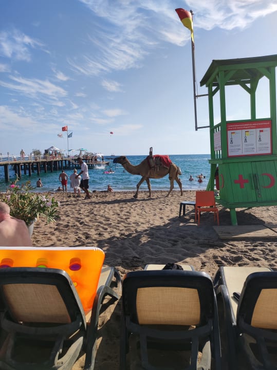 Strand Limak Lara Deluxe Hotel & Resort