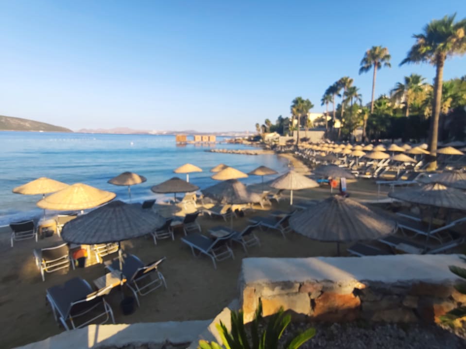 Strand TUI MAGIC LIFE Bodrum - Adult Only (16+)