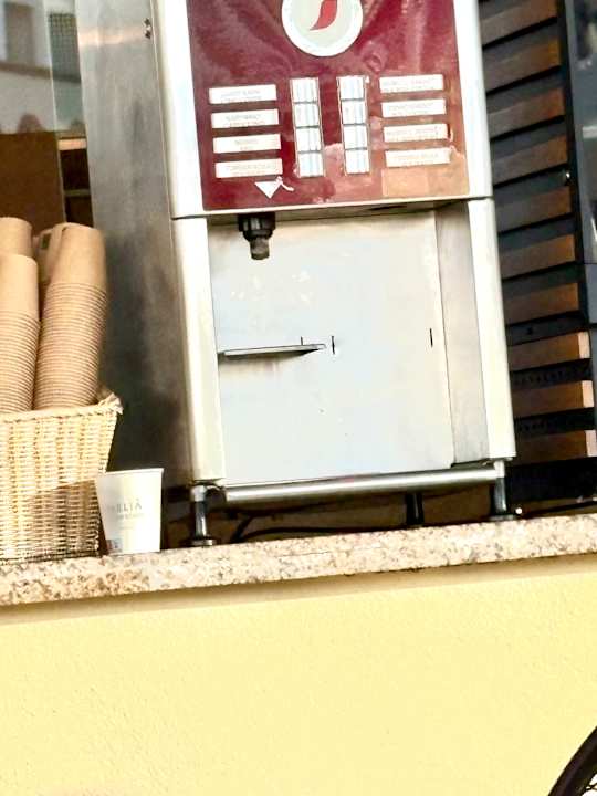 Gastro Meliá Sunny Beach