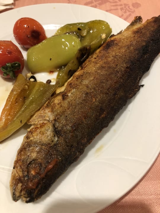 Gastro Calimera Serra Palace