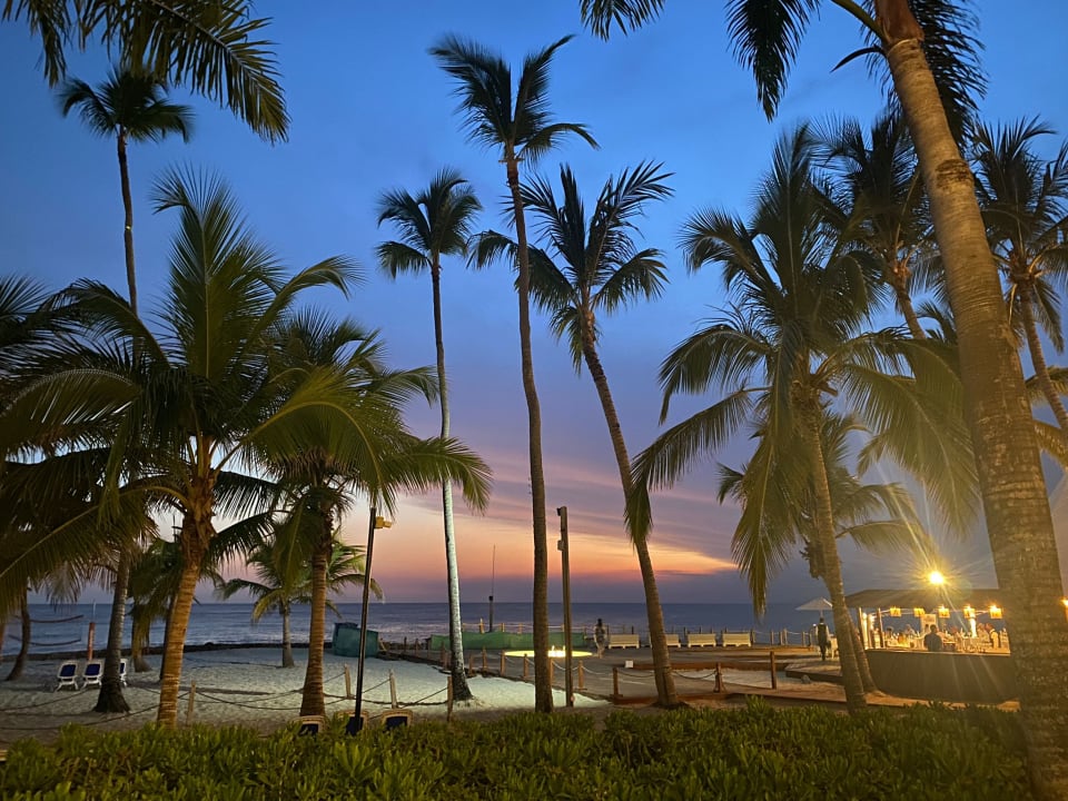 "Strand" Hotel Viva Dominicus Palace by WyndhamAll Inclusive Resort