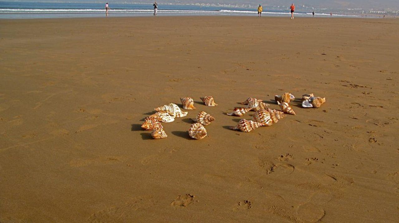 Strand Iberostar Waves Founty Beach