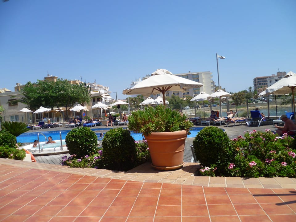 Whirlpool AluaSoul Palma