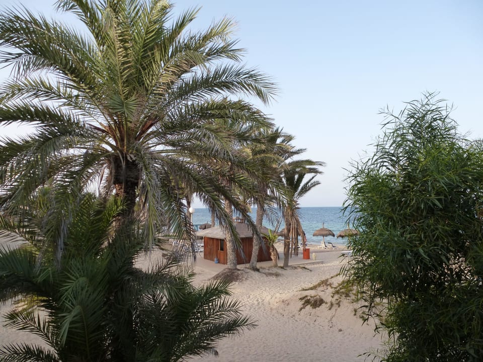 Strandbar Hotel El Mouradi Djerba Menzel