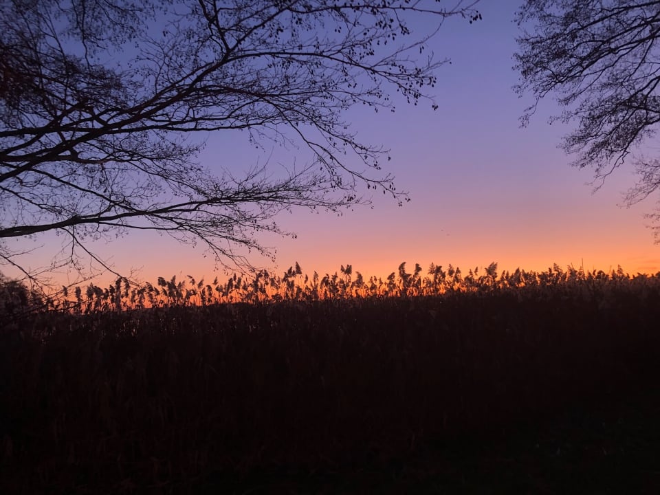 Ausblick Hotel Esplanade Resort & Spa