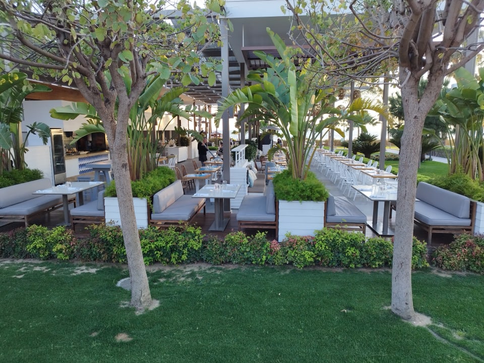 Gartenanlage Acanthus Cennet Barut Collection