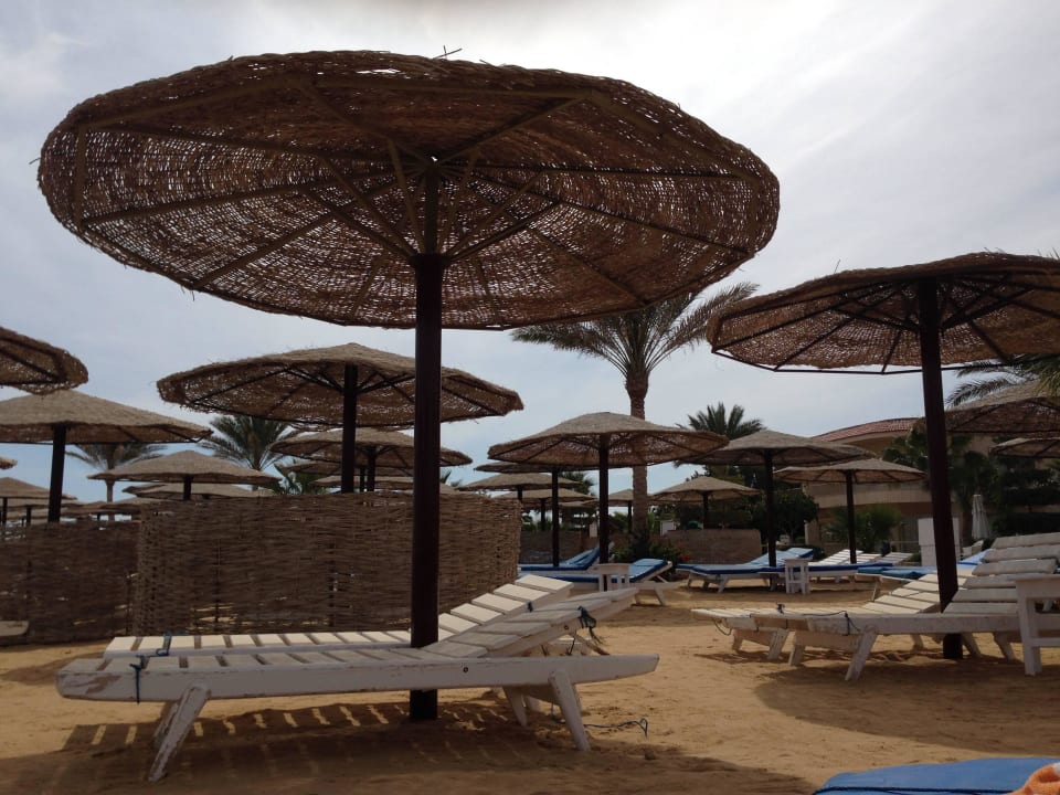 2 Sea Star Beau Rivage