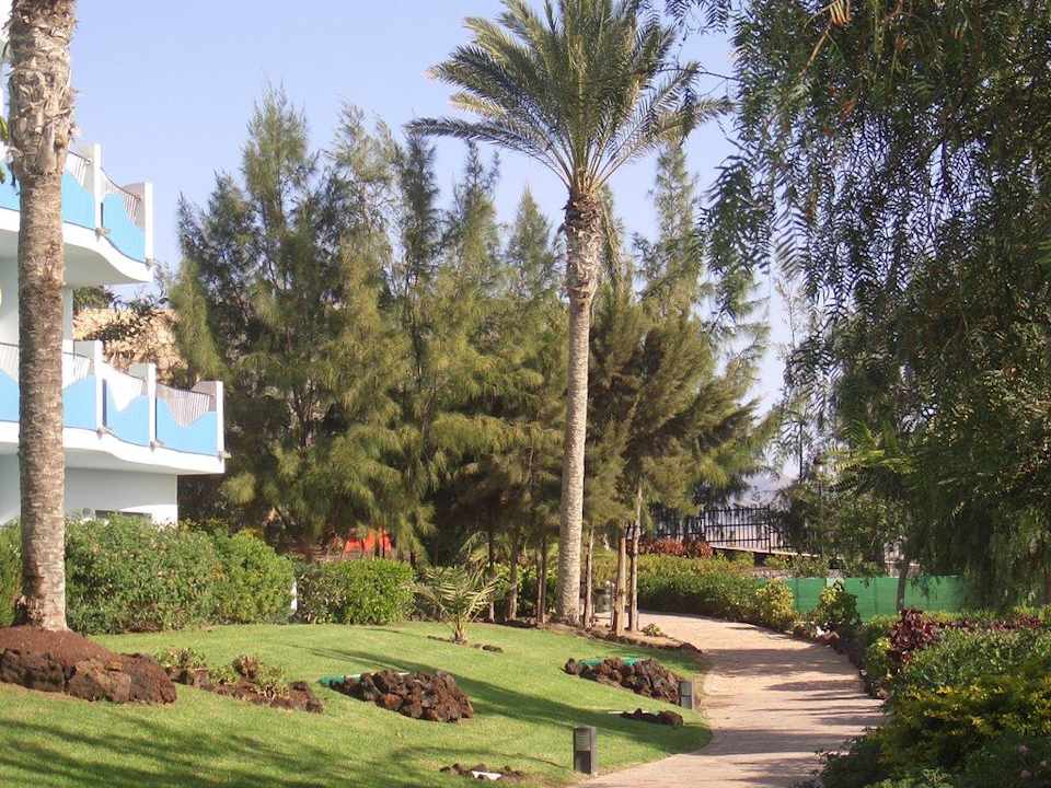 Blick vom Pool R2 Pajara Beach