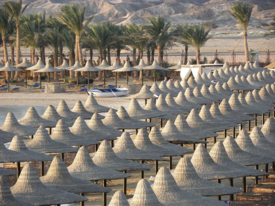 "Pilzlandschaft" Steigenberger Coraya Beach - Adults only