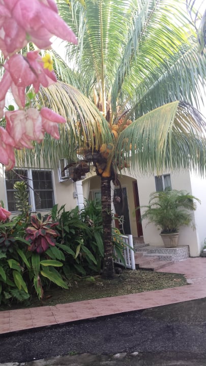 Gartenanlage Hotel Rayon