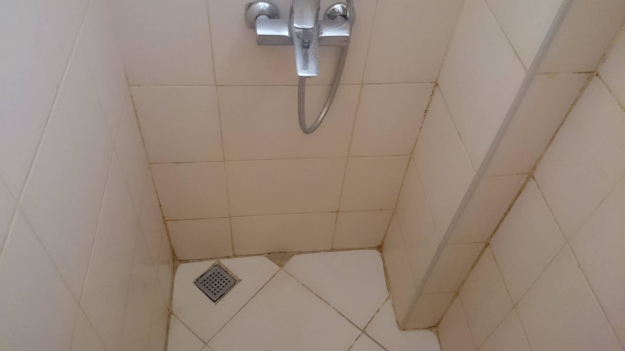 Schimmeliges Bad Dream Family Club