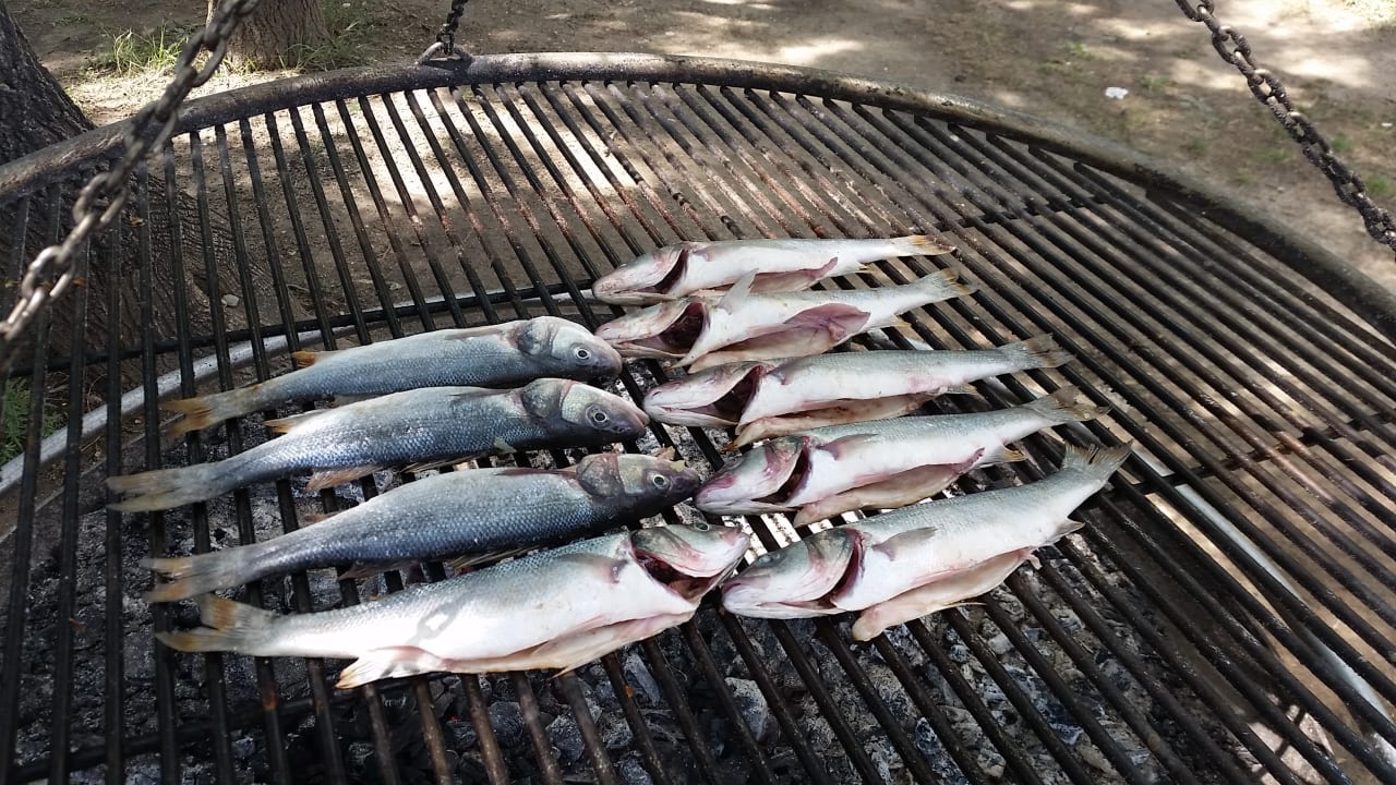 Gastro Hotel Borjana