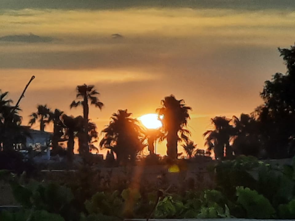 Ausblick Kernos Beach Hotel & Bungalows