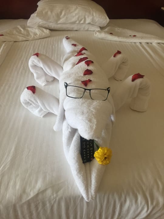 Zimmer Malikia Resort Abu Dabbab