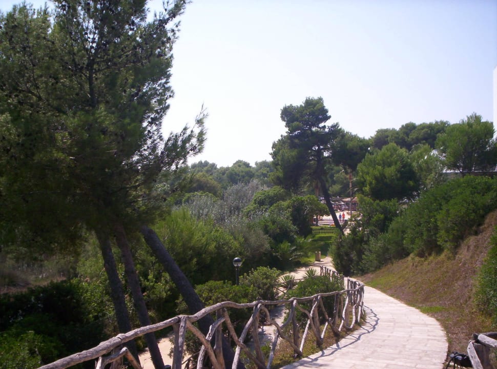 Gehweg von der terasse zum pool Hotel Exagon Park