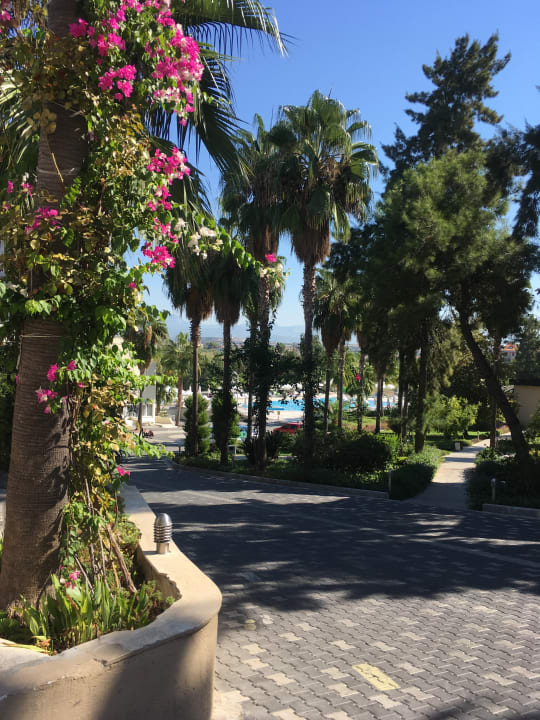 Gartenanlage Club Sidelya Hotel