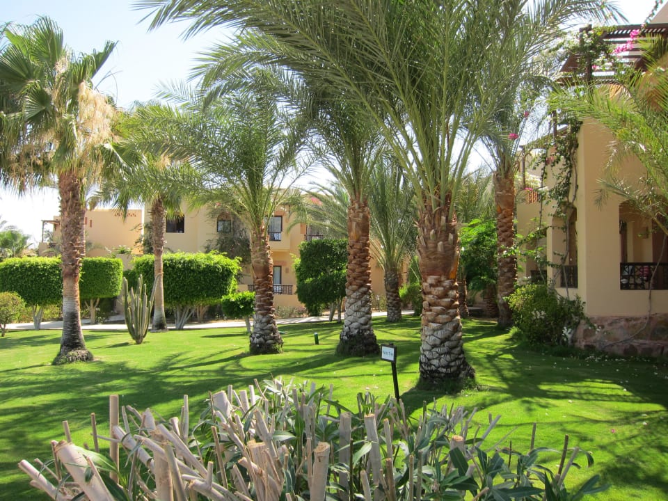 Schön Steigenberger Coraya Beach - Adults only