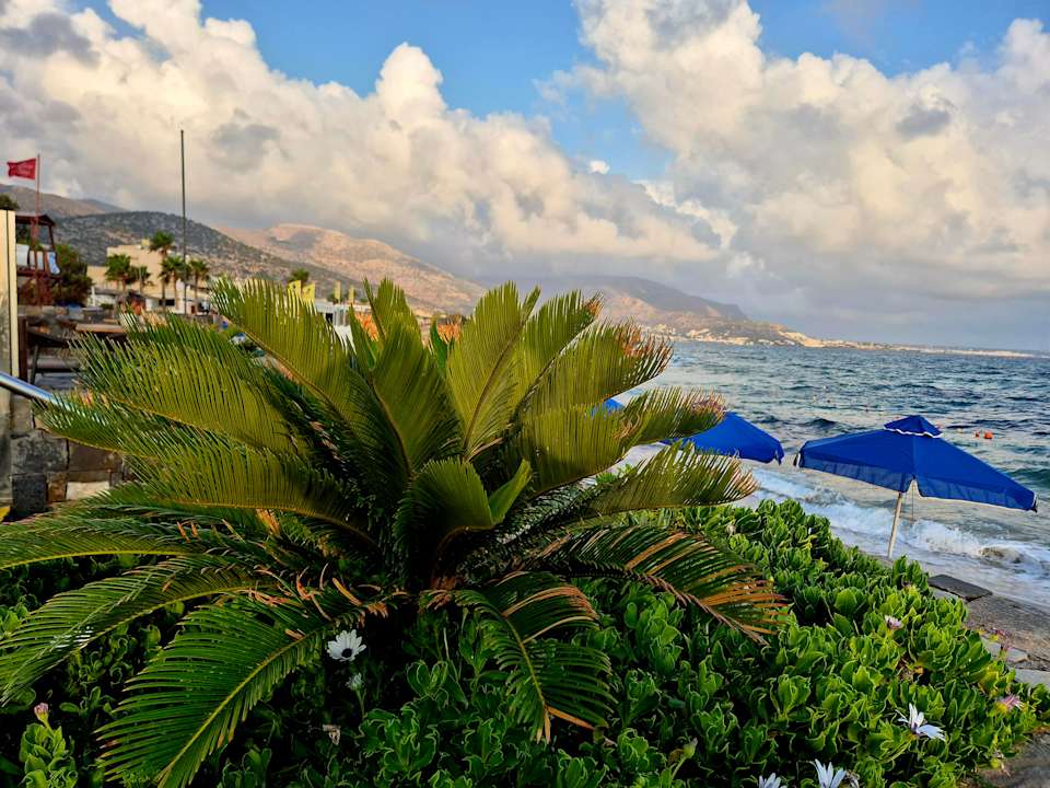 Pool VONRESORT Golden Coast