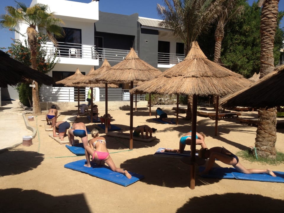 Morning gym with the animations Seagull Beach Resort