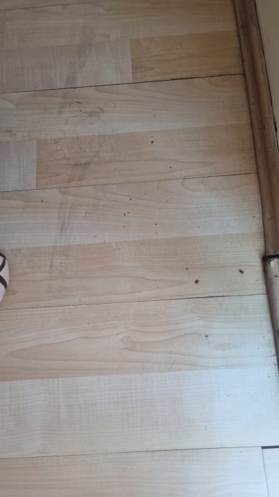 Zimmer Hotel Orfeus Park