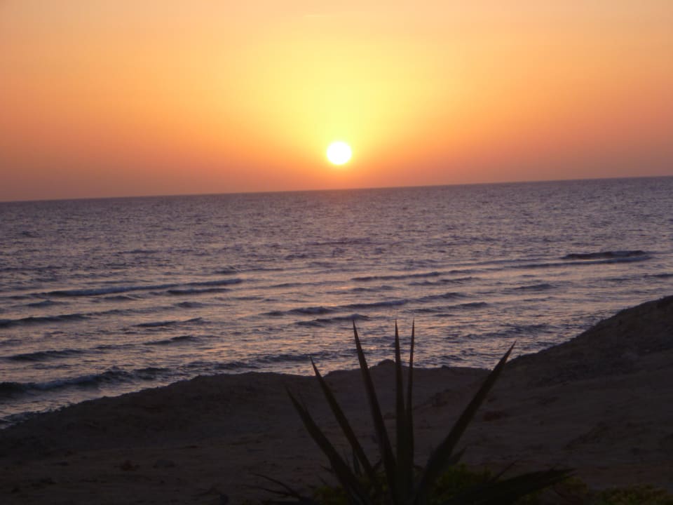 Sonnenaufgang 5:00 Coral Sun Beach