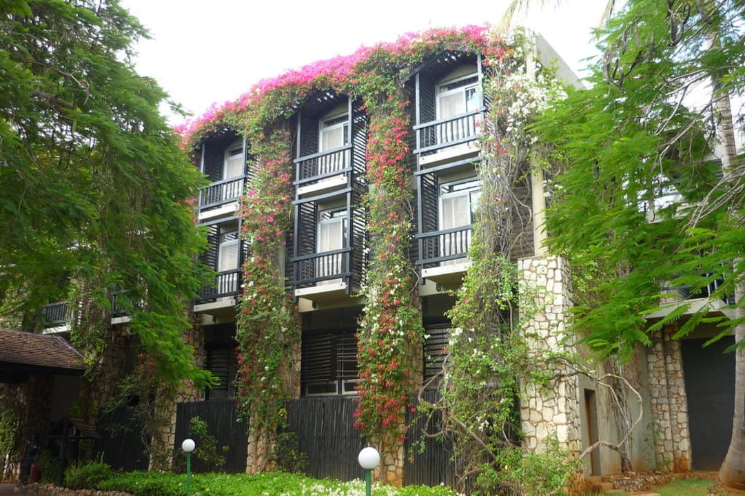 Wo es genügend Wasser gibt blüht es bis zum Dach Taita Hills Safari Resort & Spa