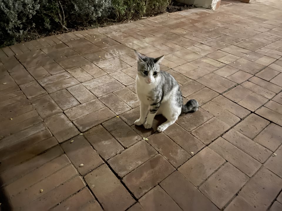 Sonstiges Lotus Bay Beach Resort