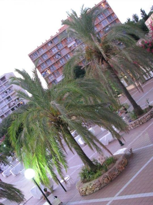 Poolbereich Hotel Club Cala Romani