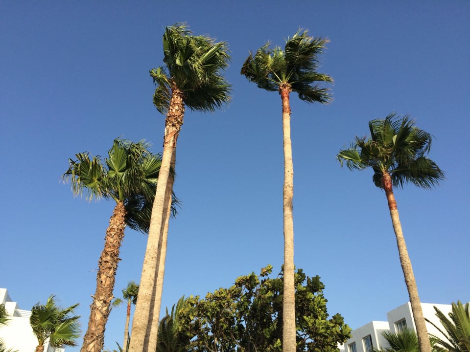 Innenhof Sentido Aequora Lanzarote Suite