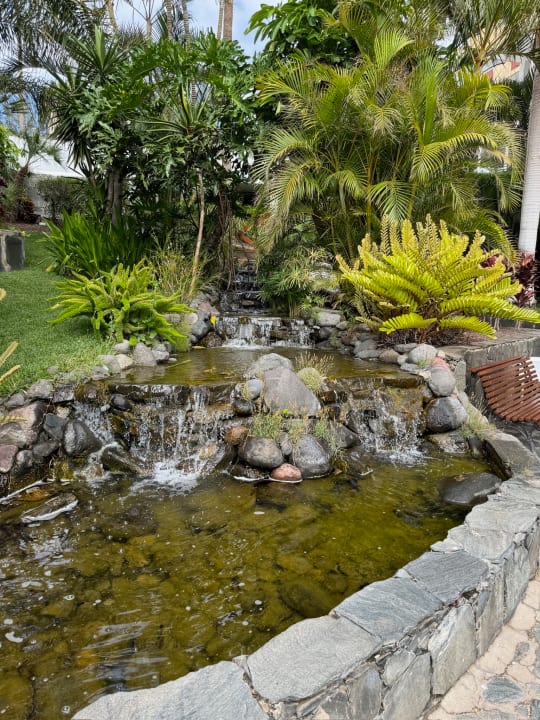 Gartenanlage allsun Hotel Lucana