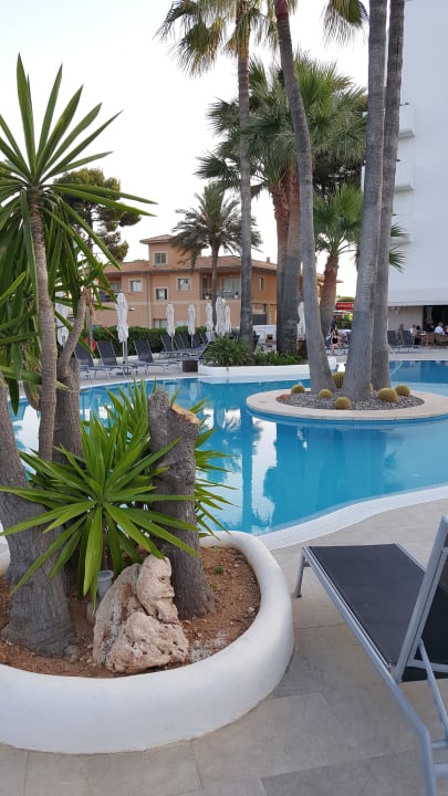 Pool des allsun Eden Alcudia  Apartamentos Mirada de Alcudia