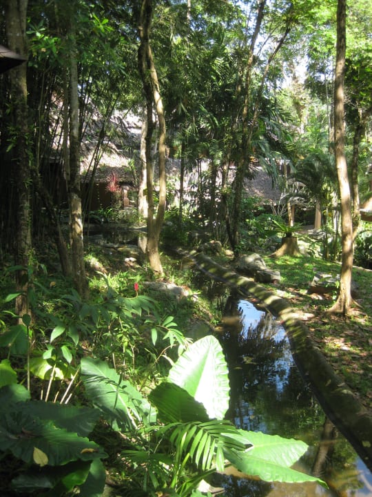 Dschungel  Khao Lak Merlin Resort
