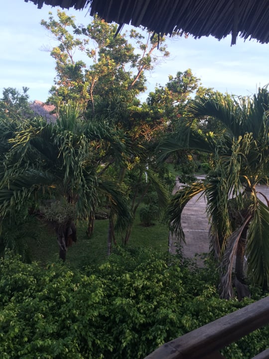 Gartenanlage Neptune Village Beach Resort & Spa