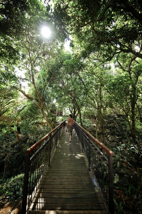 Gartenanlage Palm Hotel & Spa