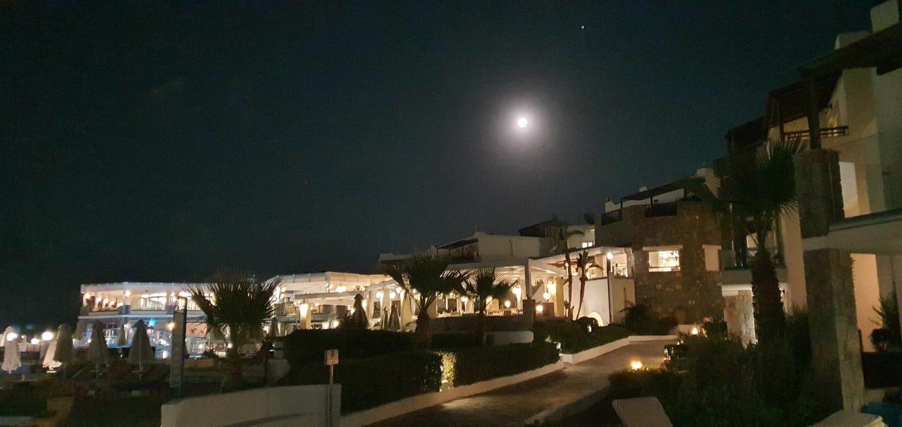Gartenanlage Alexander Beach Hotel & Village Resort
