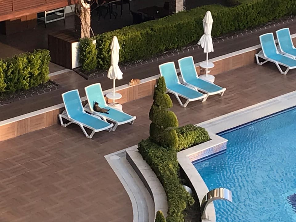 Pool Luna Blanca Resort & Spa