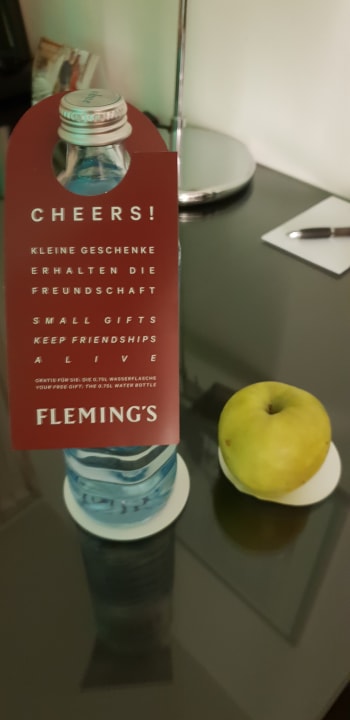 Zimmer Flemings Hotel Wien-Stadthalle