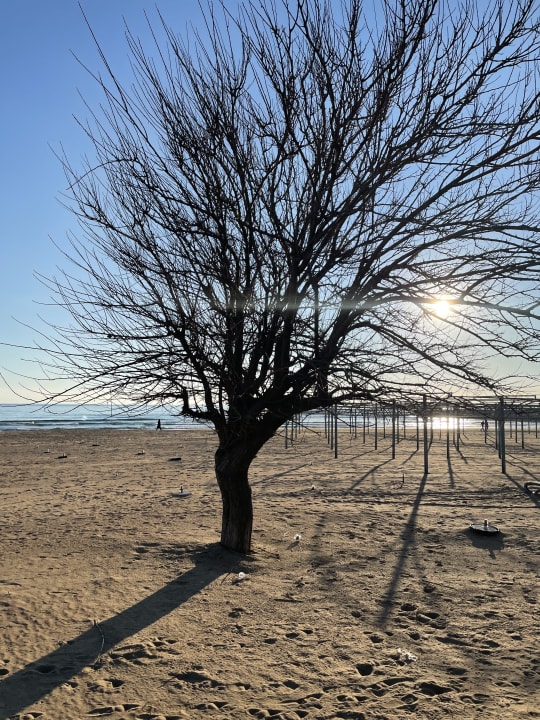 Strand Aydinbey Kings Palace & Spa