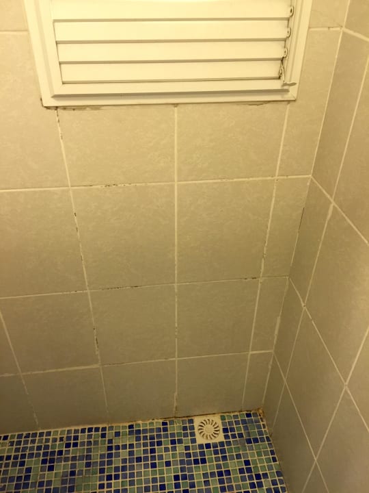 Schimmel Hotel Diva's