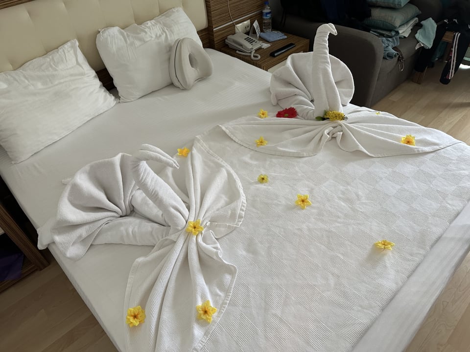 Zimmer Blue Diamond Alya