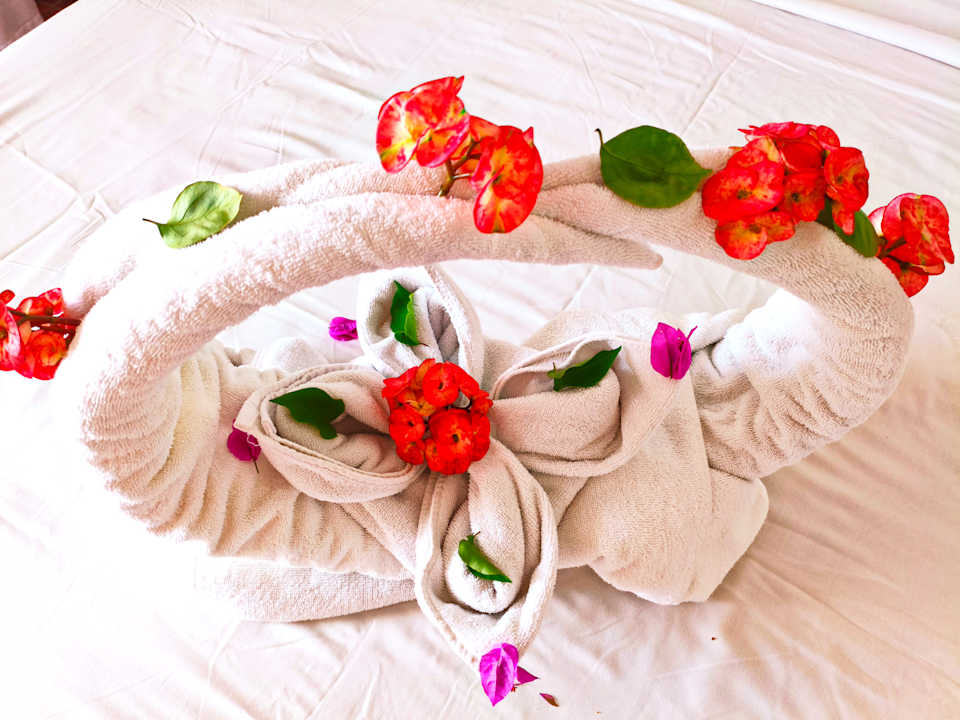 Zimmer JAZ Neo Reef Marsa