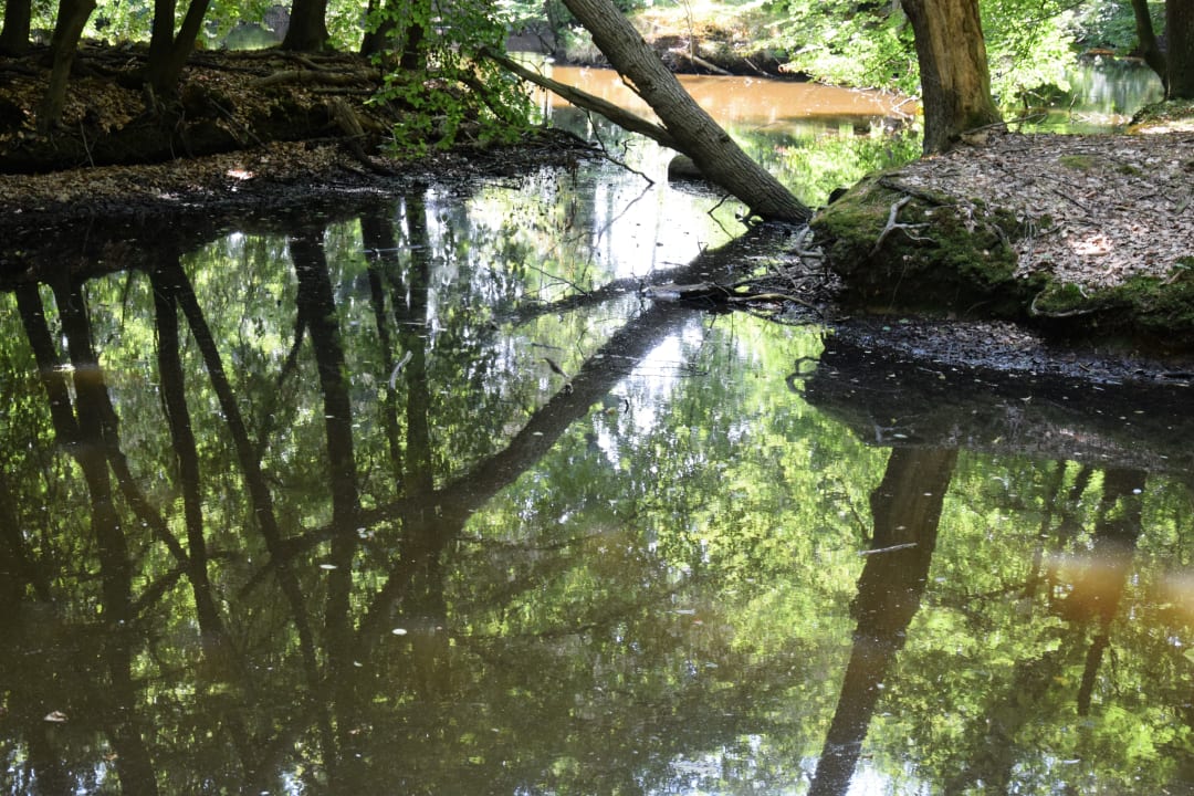 Gartenanlage Upstalsboom Varel-Dangast
