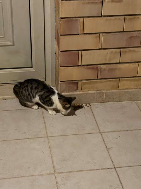 Sonstiges Bella Beach Hotel