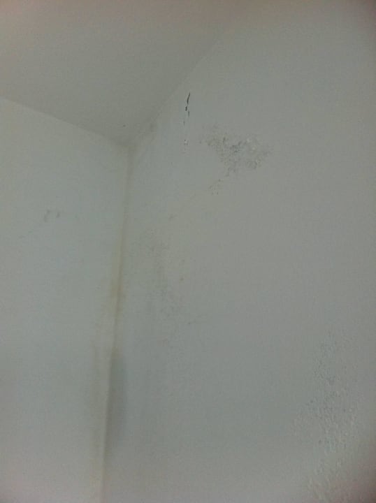 Decke, Wand Hotel Palace