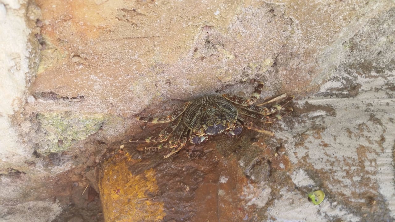 Hotel Baobab Beach Resort Baobab Beach Resort & Spa